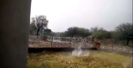 اخبار,اخبار گوناگون,تگرگ های کشنده دراسپانیا اخبار,اخبار گوناگون,تگرگ های کشنده دراسپانیا