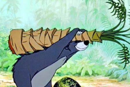 اخبار,اخبار گوناگون,خرس گریزلی اخبار,اخبار گوناگون,خرس گریزلی