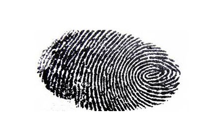 اخبار,اخبار گوناگون,پلیس اخبار,اخبار گوناگون,پلیس