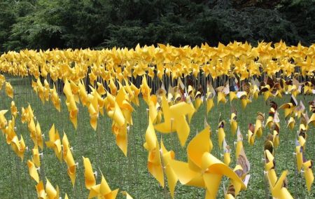 اخبارگوناگون,خبرهای گوناگون, فرفره اخبارگوناگون,خبرهای گوناگون, فرفره