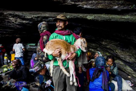   اخبارگوناگون ,خبرهای گوناگون , سنت پرتاب قربانی به دهانه آتشفشان