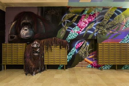 اخبارگوناگون,خبرهای گوناگون,دیوارهای خوابگاه پاریسی اخبارگوناگون,خبرهای گوناگون,دیوارهای خوابگاه پاریسی