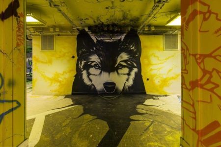 اخبارگوناگون,خبرهای گوناگون,دیوارهای خوابگاه پاریسی اخبارگوناگون,خبرهای گوناگون,دیوارهای خوابگاه پاریسی