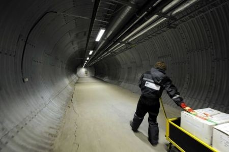 اخبار,اخبار گوناگون,خزانه بذرقیامت