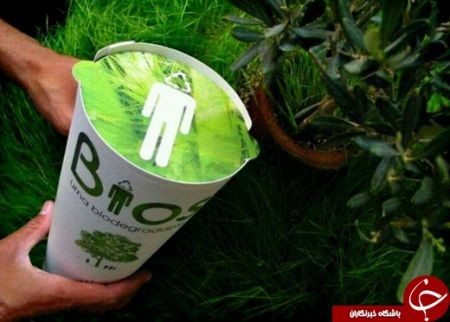 اخبار,اخبار گوناگون,بعد از مرگ، درخت شوید