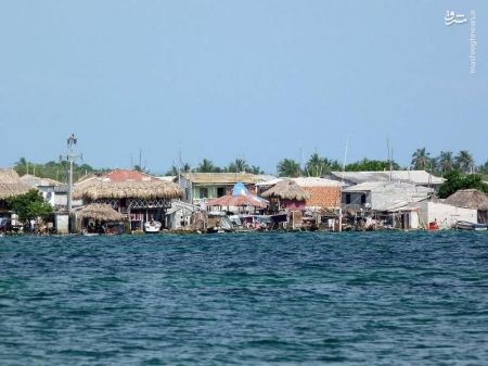 اخبار,اخبار گوناگون,پرجمعیت ترین جزیره دنیا اخبار,اخبار گوناگون,پرجمعیت ترین جزیره دنیا