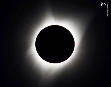 اخبار,اخبار گوناگون,خورشیدگرفتگی درآمریکا اخبار,اخبار گوناگون,خورشیدگرفتگی درآمریکا