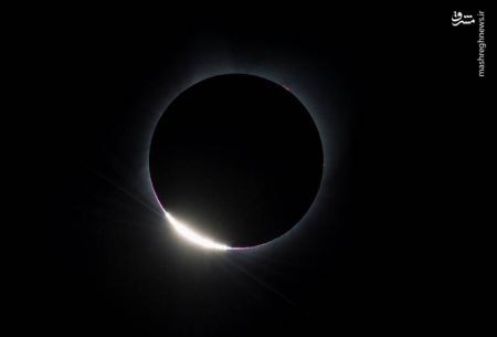 اخبار,اخبار گوناگون,خورشیدگرفتگی درآمریکا اخبار,اخبار گوناگون,خورشیدگرفتگی درآمریکا