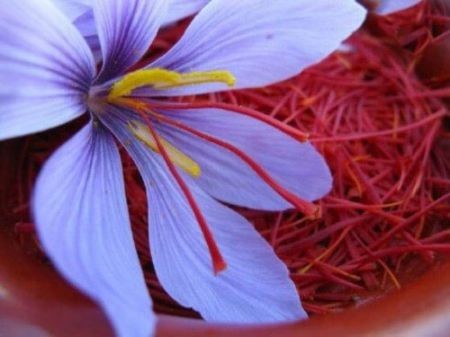 اخبار,اخبار گوناگون,گران ترین گلهای جهان