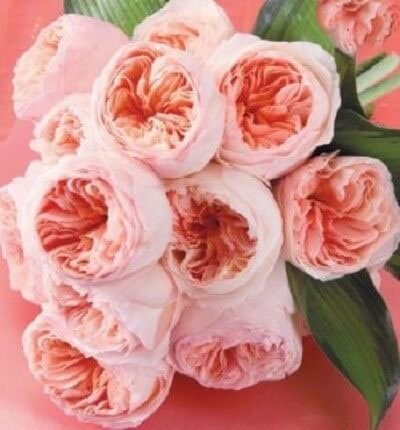 اخبار,اخبار گوناگون,گران ترین گلهای جهان