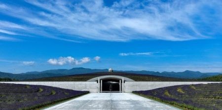 اخبار,اخبار گوناگون,مجسمه عظیم بودا