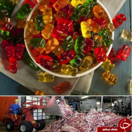 اخبار,اخبار گوناگون,پاستیل