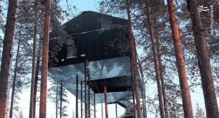 اخبارگوناگون ,خبرهای گوناگون ,هتل درختی اخبارگوناگون ,خبرهای گوناگون ,هتل درختی