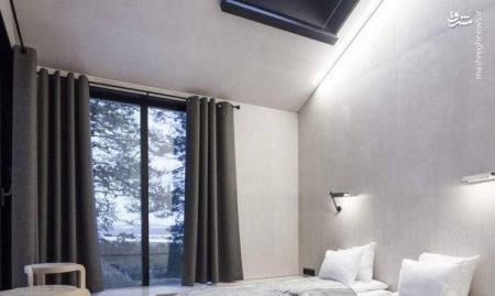 اخبارگوناگون ,خبرهای گوناگون ,هتل درختی اخبارگوناگون ,خبرهای گوناگون ,هتل درختی