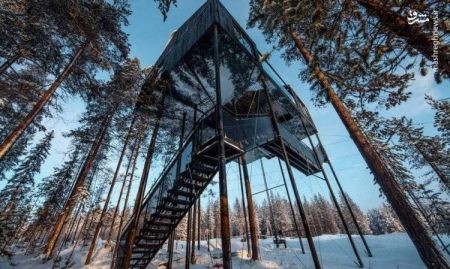 اخبارگوناگون ,خبرهای گوناگون ,هتل درختی اخبارگوناگون ,خبرهای گوناگون ,هتل درختی