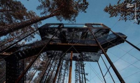 اخبارگوناگون ,خبرهای گوناگون ,هتل درختی اخبارگوناگون ,خبرهای گوناگون ,هتل درختی