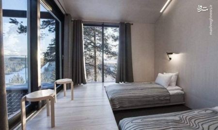 اخبارگوناگون ,خبرهای گوناگون ,هتل درختی اخبارگوناگون ,خبرهای گوناگون ,هتل درختی