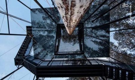 اخبارگوناگون ,خبرهای گوناگون ,هتل درختی اخبارگوناگون ,خبرهای گوناگون ,هتل درختی