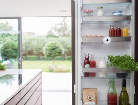   اخبارعلمی ,خبرهای علمی ,دوربین یخچال