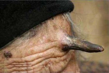   اخبار گوناگون,خبرهای  گوناگون, شاخ 