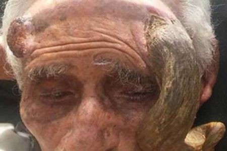   اخبار گوناگون,خبرهای  گوناگون, شاخ 