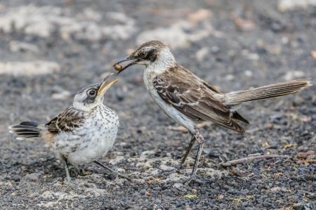  اخبارگوناگون,خبرهای گوناگون,عکس‌های برتر