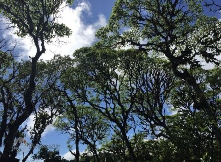  اخبارگوناگون,خبرهای گوناگون,عکس‌های برتر