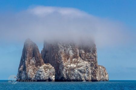  اخبارگوناگون,خبرهای گوناگون,عکس‌های برتر