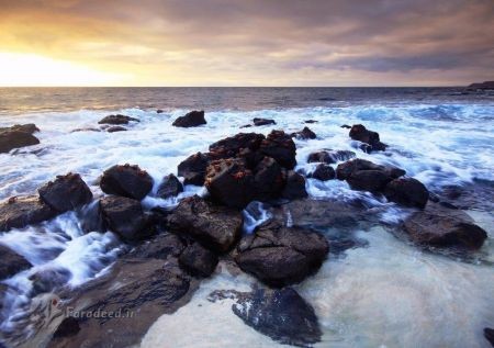  اخبارگوناگون,خبرهای گوناگون,عکس‌های برتر