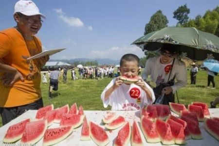 اخبارگوناگون ,خبرهای گوناگون,جشنواره هندوانه اخبارگوناگون ,خبرهای گوناگون,جشنواره هندوانه