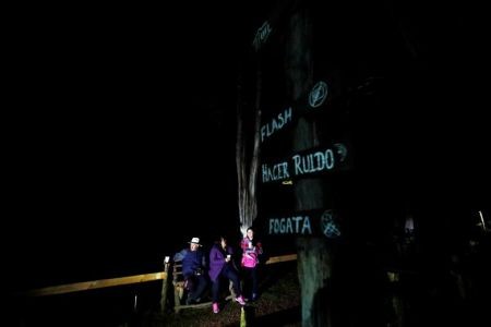   اخبار گوناگون ,خبرهای  گوناگون ,کرم شب‌تاب 