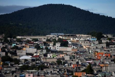   اخبار گوناگون ,خبرهای  گوناگون ,کرم شب‌تاب 