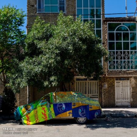 اخبار,اخبار گوناگون,خواب های رنگی