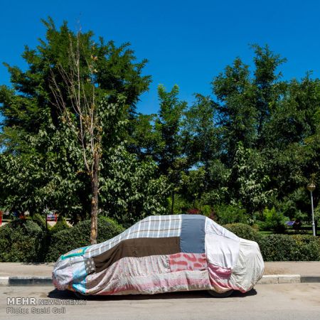 اخبار,اخبار گوناگون,خواب های رنگی