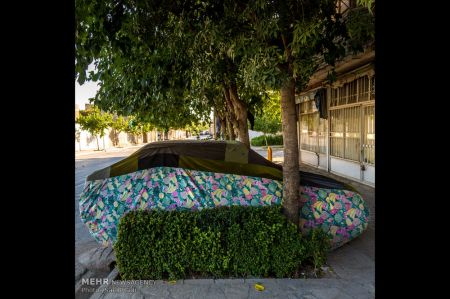 اخبار,اخبار گوناگون,خواب های رنگی