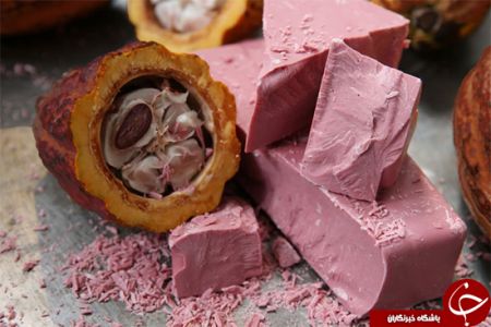 اخبار,اخبار گوناگون,اختراع طعمی جدید برای شکلات