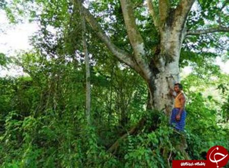 اخبار,اخبار گوناگون,مردهندی