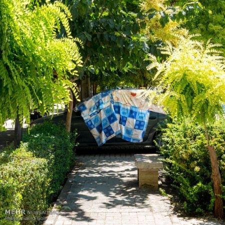 اخبار,اخبار گوناگون,خواب های رنگی