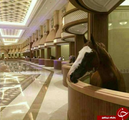 اخبار,اخبار گوناگون,لوکس ترین اصطبل جهان
