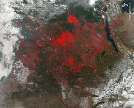 اخبار,اخبار گوناگون,تصاویر ماهواره‌ای زیبا از زمین