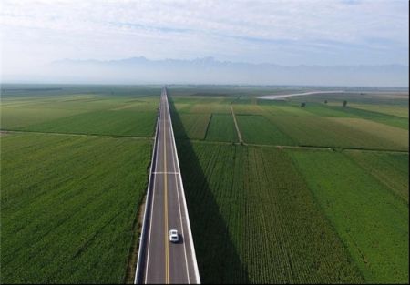 اخبار,اخبار گوناگون,ساخت بزرگراه یک میلیارد دلاری