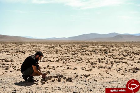 اخبار,اخبار گوناگون,خشک‌ترین صحرای جهان به گلستان تبدیل شد
