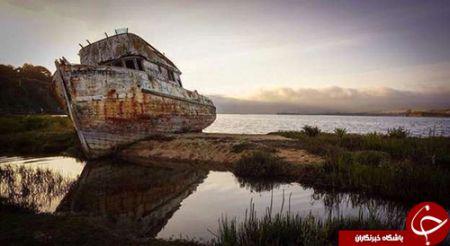 اخبار,اخبار گوناگون,وسایل حمل و نقل ترک شده