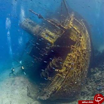 اخبار,اخبار گوناگون,وسایل حمل و نقل ترک شده