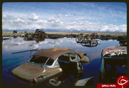 اخبار,اخبار گوناگون,وسایل حمل و نقل ترک شده