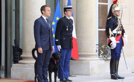 اخبار,اخبار گوناگون, سگ جدید آقای رئیس جمهور !