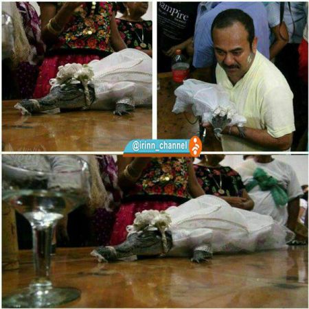 اخبار,اخبار امروز,اخبار جدید