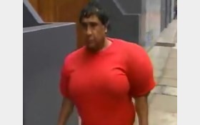   اخبار گوناگون  ,خبرهای  گوناگون ,افزایش رشد بی رویه عضلات