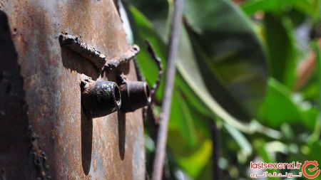   اخبارگوناگون,خبرهای  گوناگون ,شگفت انگیزترین املاک شخصی