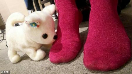   اخبارعلمی,خبرهای علمی,ربات